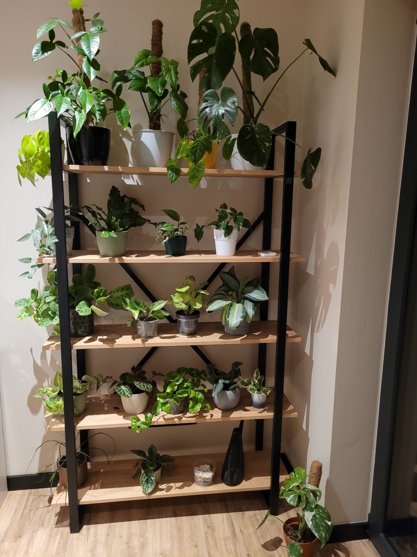 Image #3 from Paweł