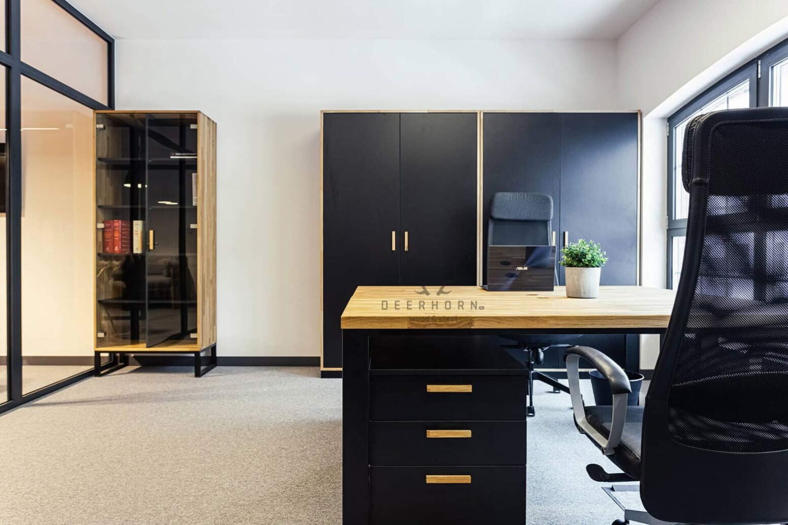 cabinet_for_segregators closet and filing cabinet