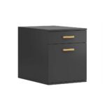 Black mobile container with drawer and shelf for binders
