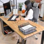 premium desk
