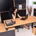 premium desk
