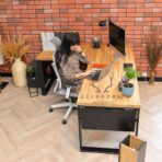 deerhorn corner desk