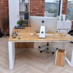 deerhorn furniture