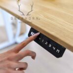 height adjustable desk