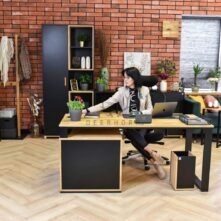 deerhorn desk