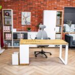 furniture for a woman's office