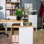 loft desk