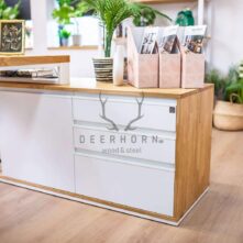 premium desk cabinet