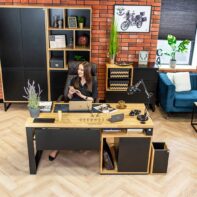 premium furniture for offices