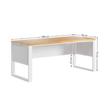 BIU-LO-BIA-B-160x70(2)