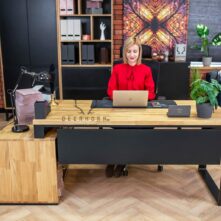 Deerhorn loft desk