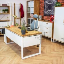 fashionable furniture for work