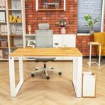 white desk for computer and printer
