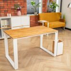 ergonomic desks for children youth students