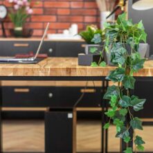 desk with thick oak top