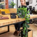 desk with thick wood top