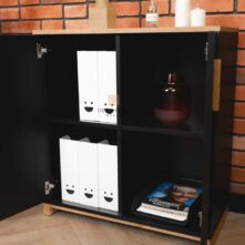 two-door chest of drawers