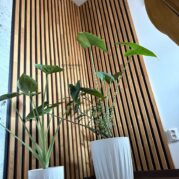 wall laths