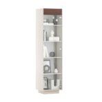 narrow glass showcase