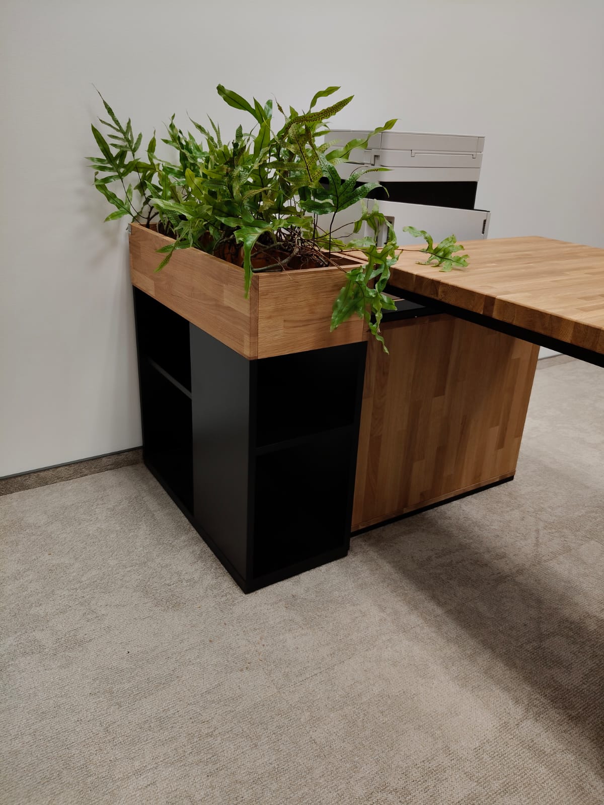 Image #1 from Aleksandra