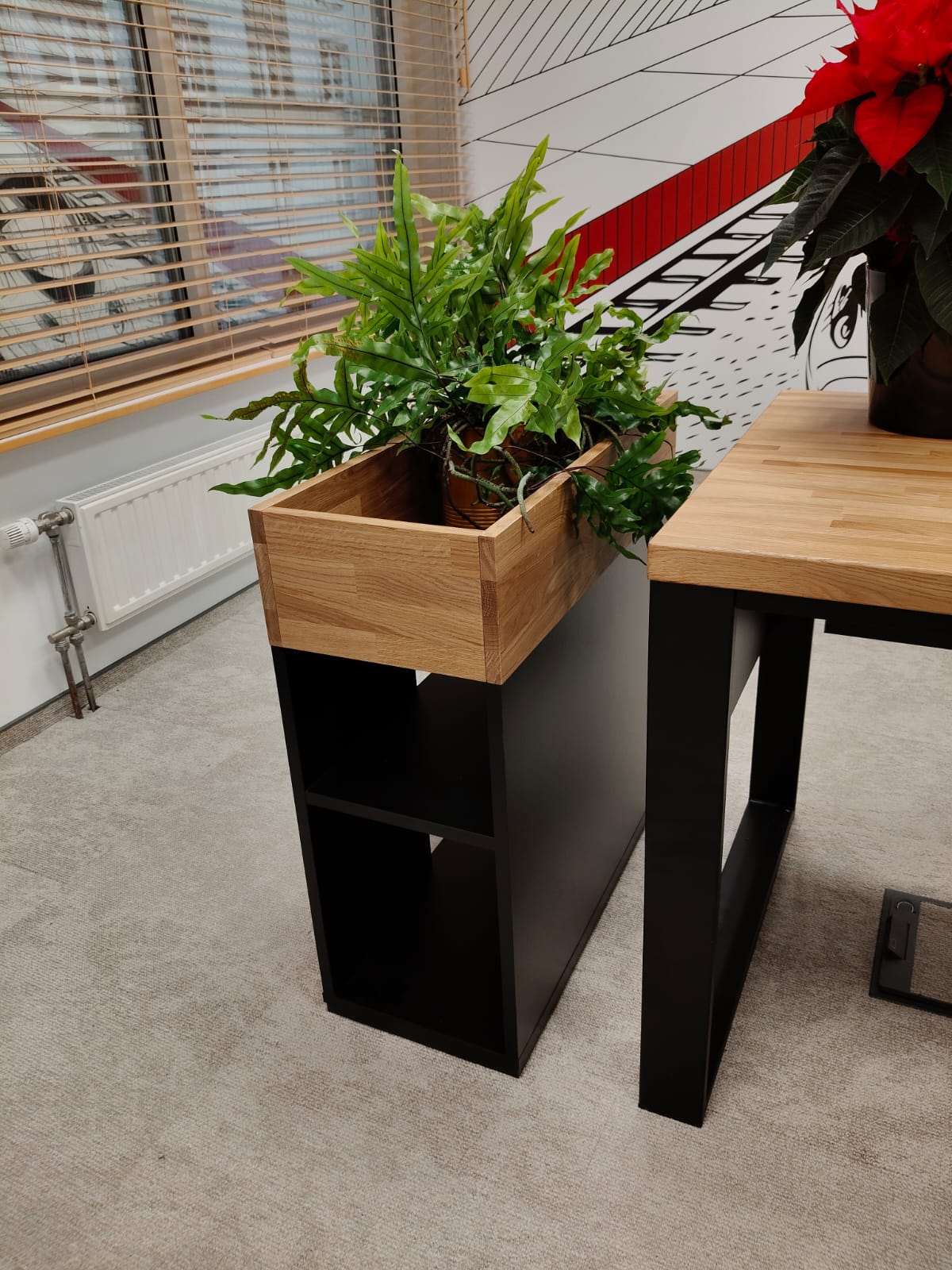 Image #2 from Aleksandra