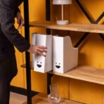 designer bookcase for an elegant office