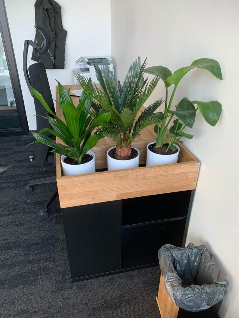 Office florist and effective work among flowers