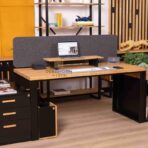 PET mat desk