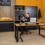 ergonomic desk