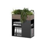 flowerbed for the office
