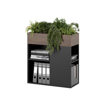 flowerbed for the office