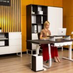 adjustable desk for programmer