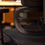 ergonomic seat back