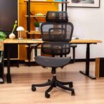 office chair with lumbar support