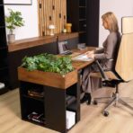 stylish work desk
