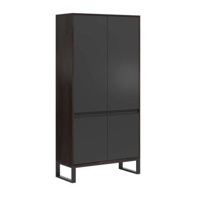 ebony black lockable cabinet