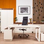 exclusive furniture for the office