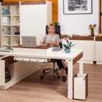 elegant furniture for the management office