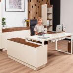 classic office furniture in a modern edition
