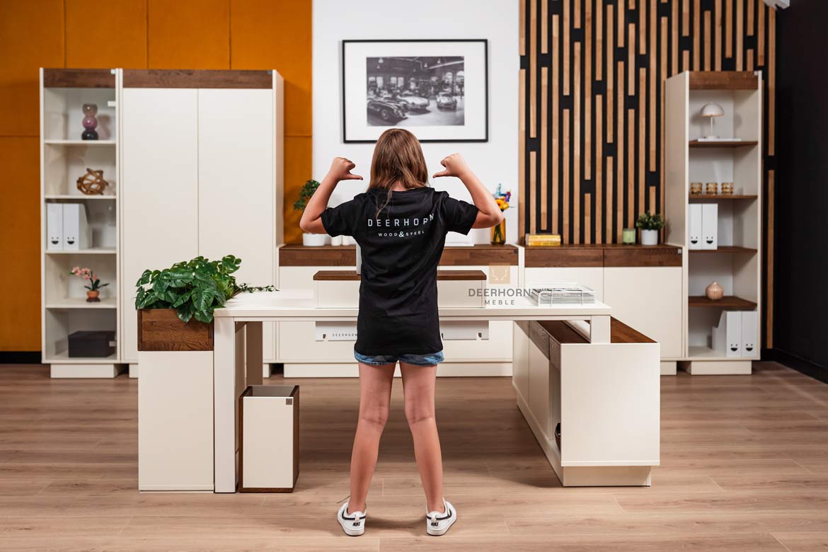 premium office furniture