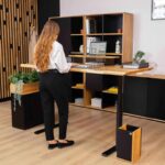 modern motorized desk