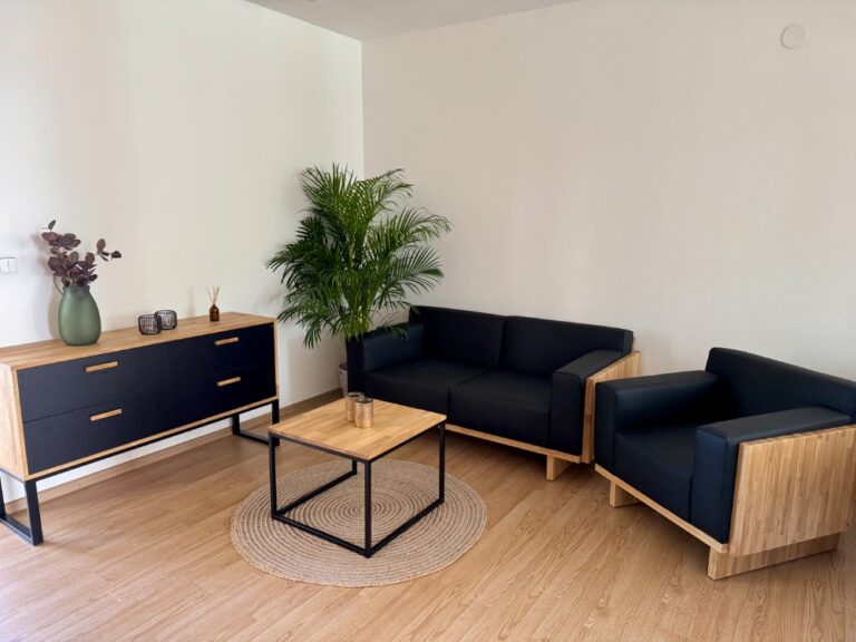 modern leisure furniture for the office