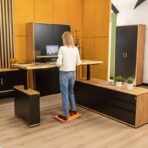 polish adjustable desk
