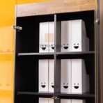 cabinet showcase