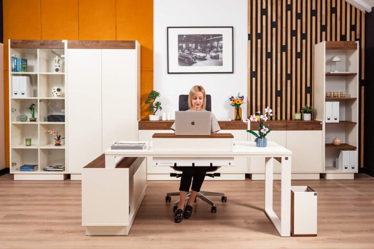 chairman's office furniture set