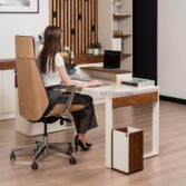remote work desk