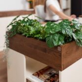 desk with plants in the office