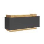 reception counter with spectacular front lighting