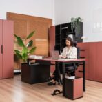 meble dla firm gabinetowe premium