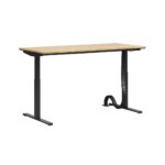 Corporate sit-to-stand desk